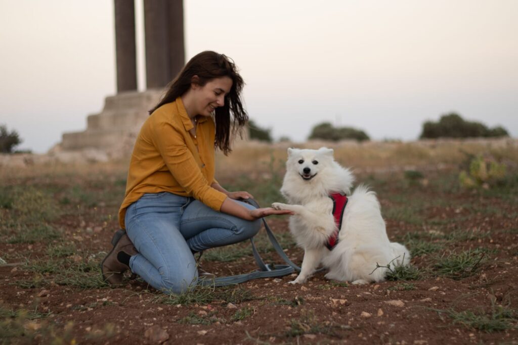 כלבנות טיפולית