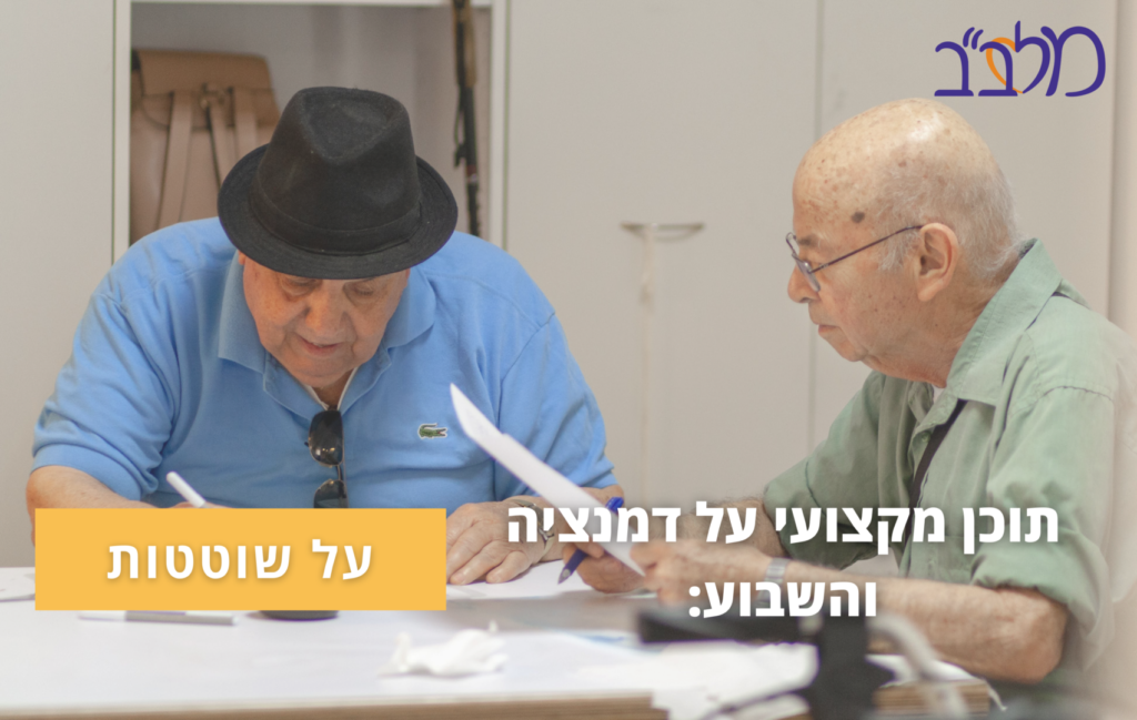 שוטטות
